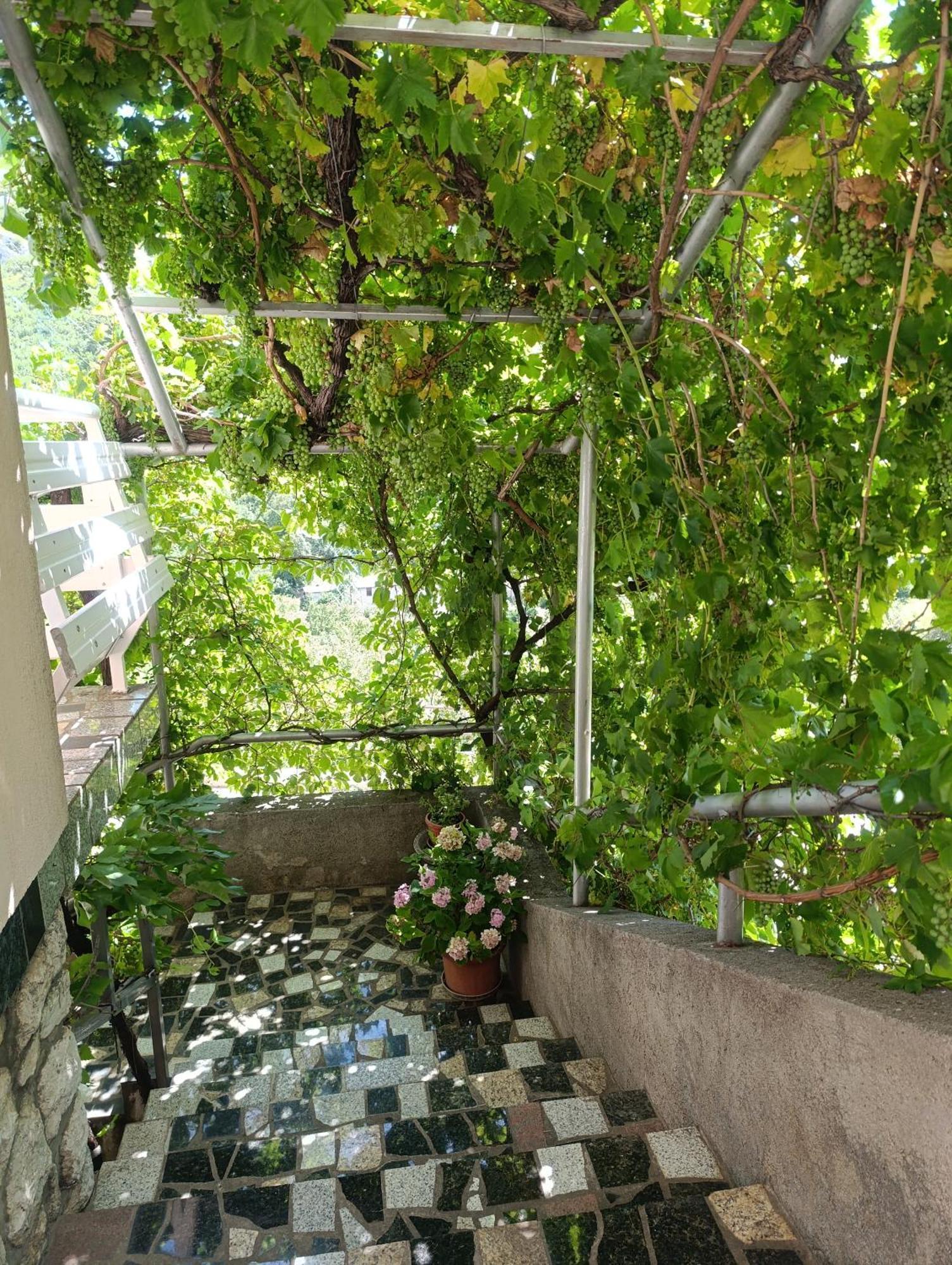 Apartment Rita Senj (Lika-Senj) Exterior photo